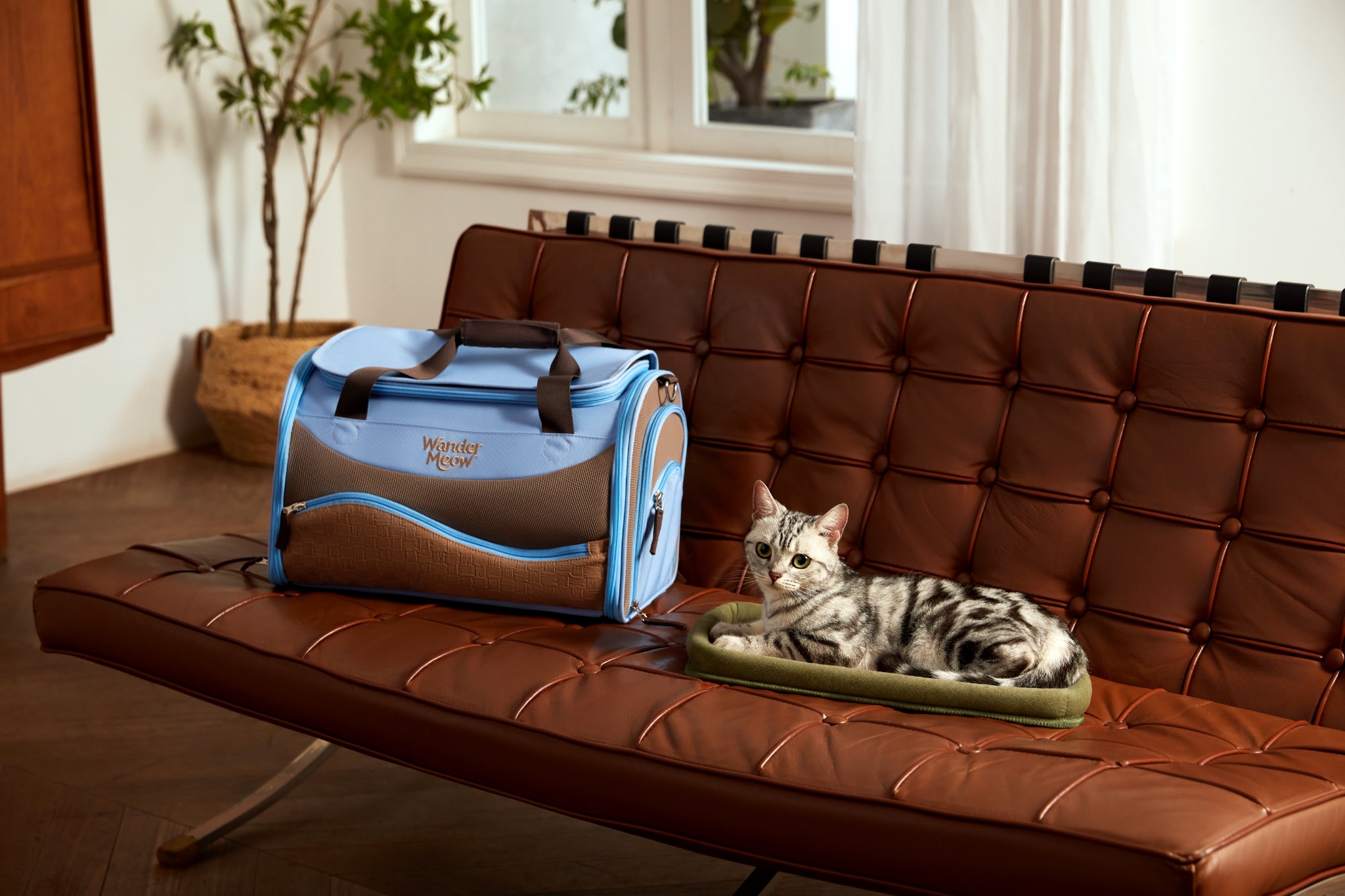 Blue Wander Meow soft-sided carrier beside a silver tabby resting on a sisal mat on a leather sofa.