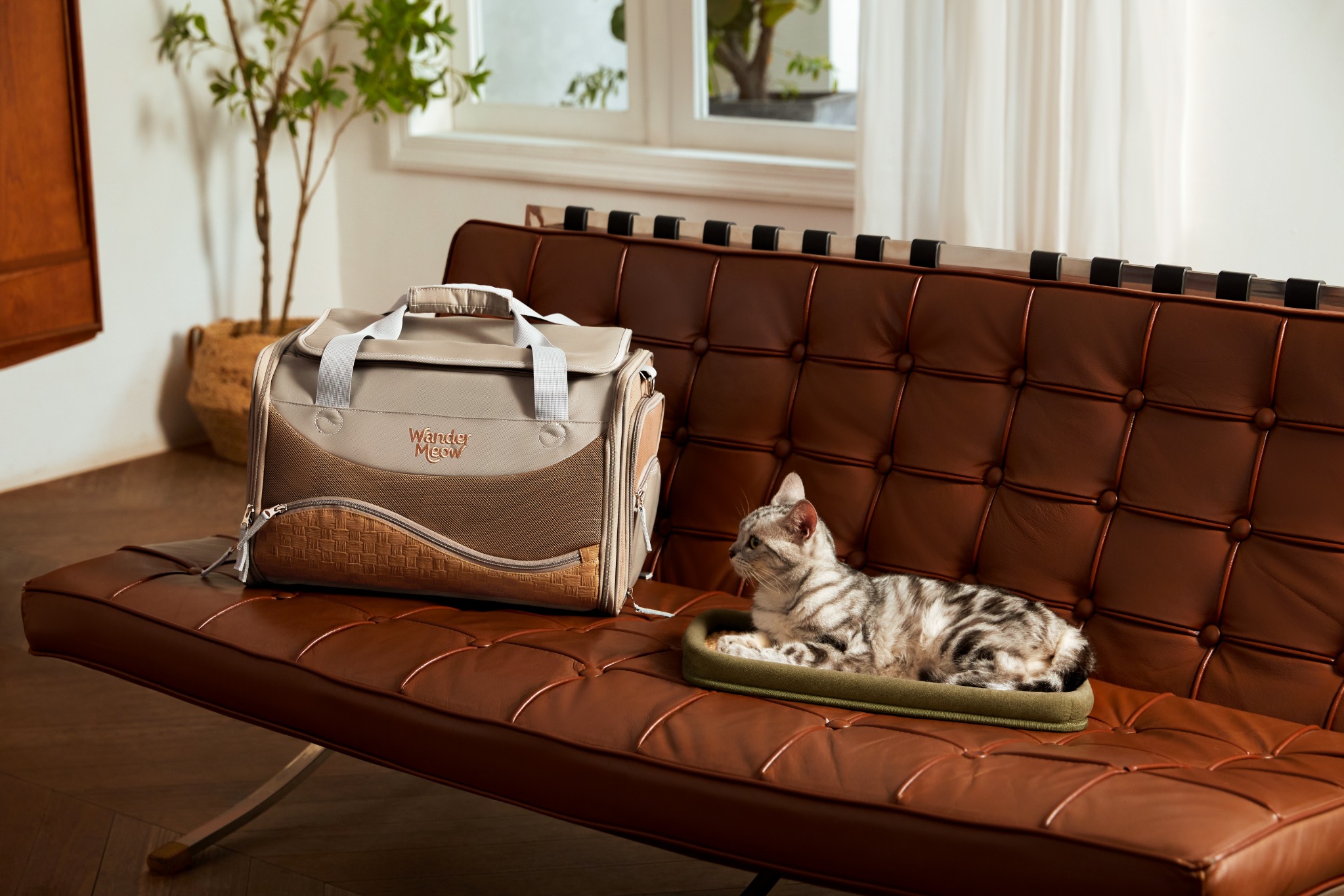 Full view of the gray Wander Meow expandable carrier and a silver tabby resting beside it on a sisal mat on a leather sofa.
